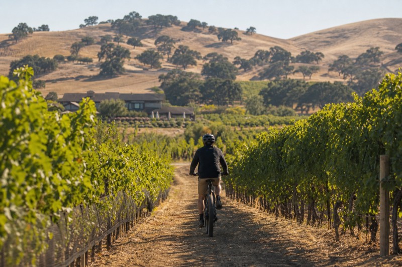 Vineyard-to-Table Wine Tour by E-Bike