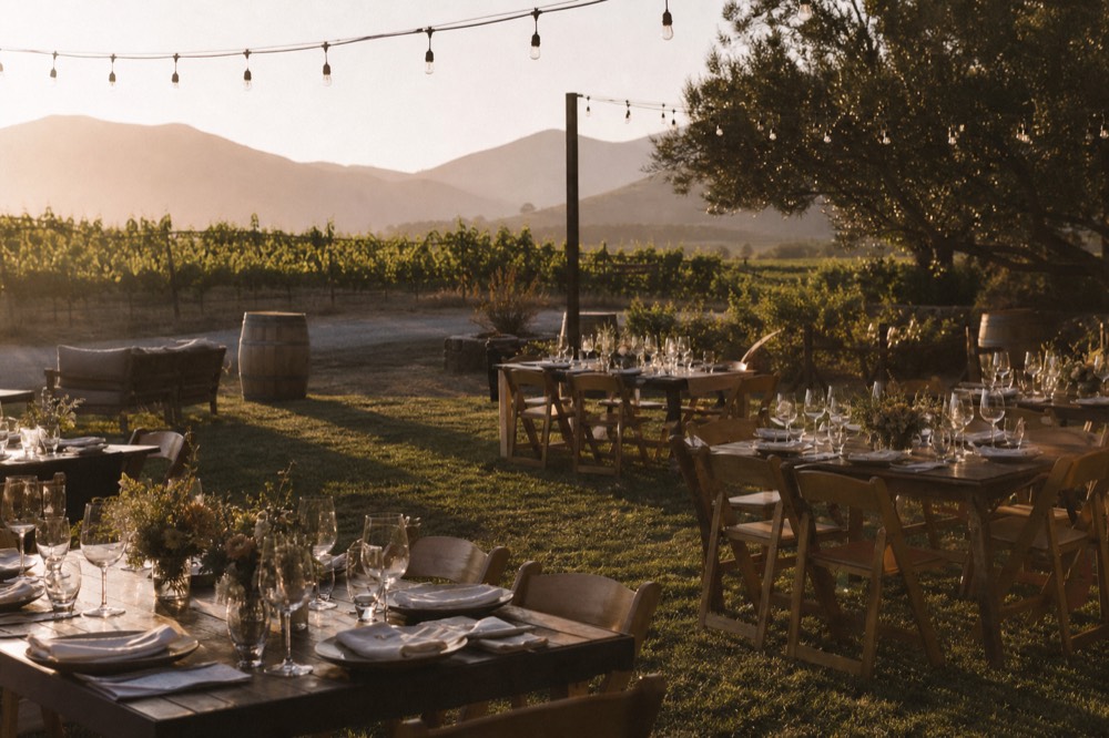 An outdoor wine event setup with long tables and glasses on a grassy vineyard lawn under string lights in warm evening light, no text, no logos, no people