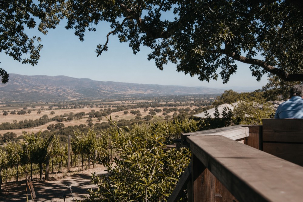 A wide inland valley seen from a hilltop vineyard terrace with distant mountain ranges and scattered oak trees under a clear sky, no text, no logos, no people