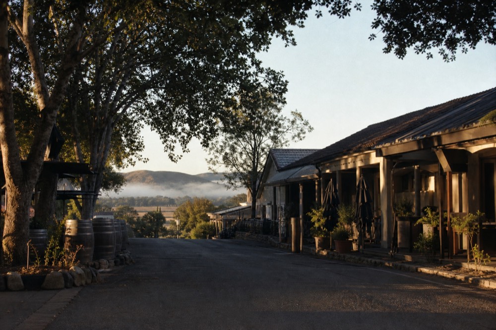 A tree-shaded upscale village street lined with small tasting-room storefronts and cafes in warm light, no text, no logos, no people