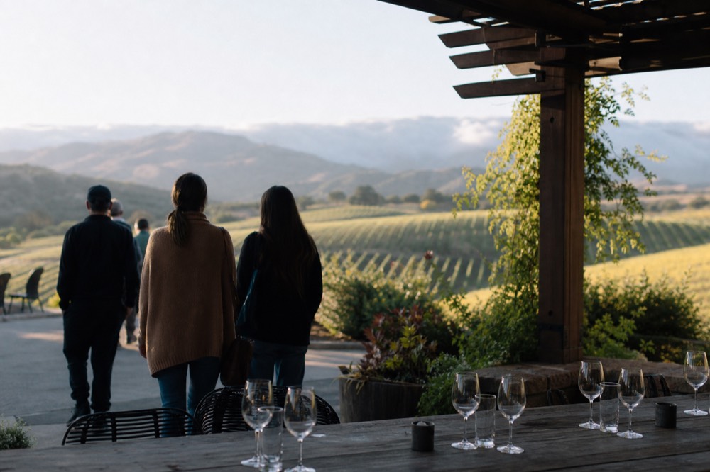 A small group arriving at an estate tasting room where a table is already set with glasses, vines behind them in golden light, no text, no logos, no people
