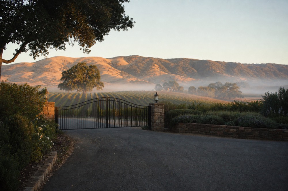 A quiet rural estate driveway with a closed gate between stone pillars and vineyard rows beyond under a clear sky, no text, no logos, no people