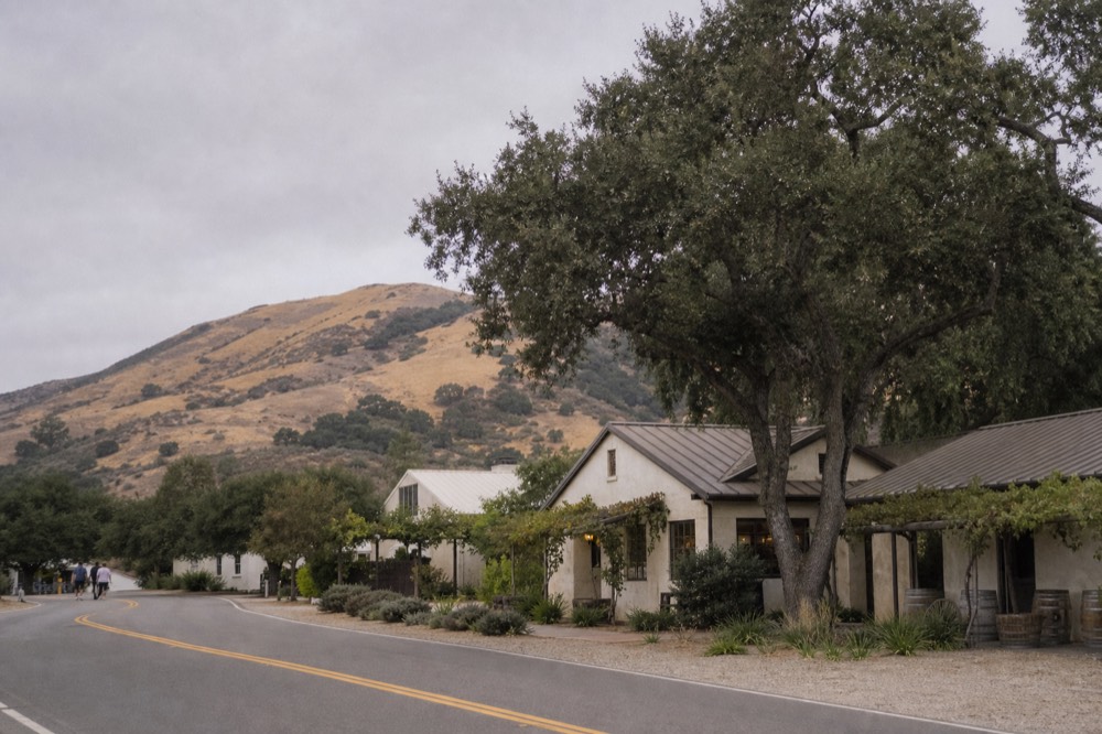 A small-town valley street with low tasting-room storefronts and oak trees, golden hills rising behind the rooftops, no text, no logos, no people