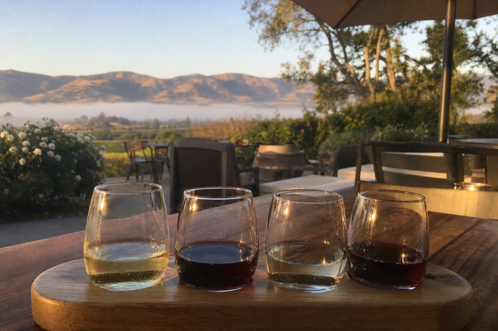 A close view of a hand-free wooden tasting flight board holding four small wine glasses of varying reds and whites on a sunlit patio table, no text, no logos, no people
