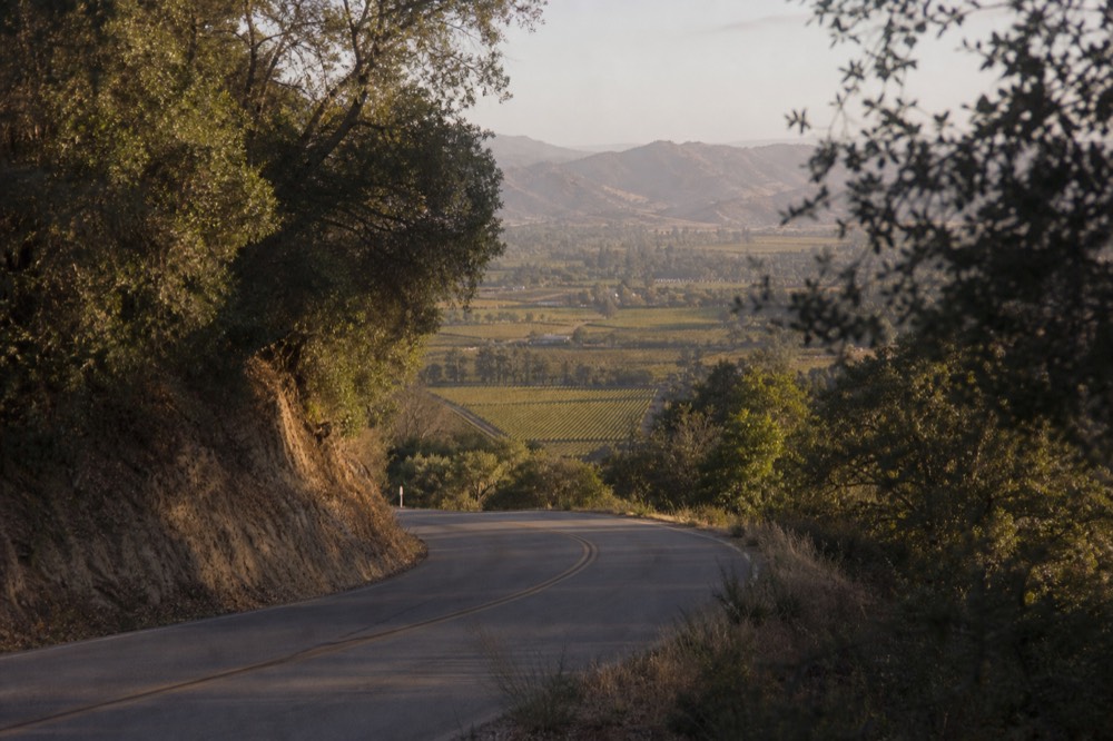 A two-lane road winding over a wooded mountain pass with a wide vineyard valley visible in the distance below, no text, no logos, no people