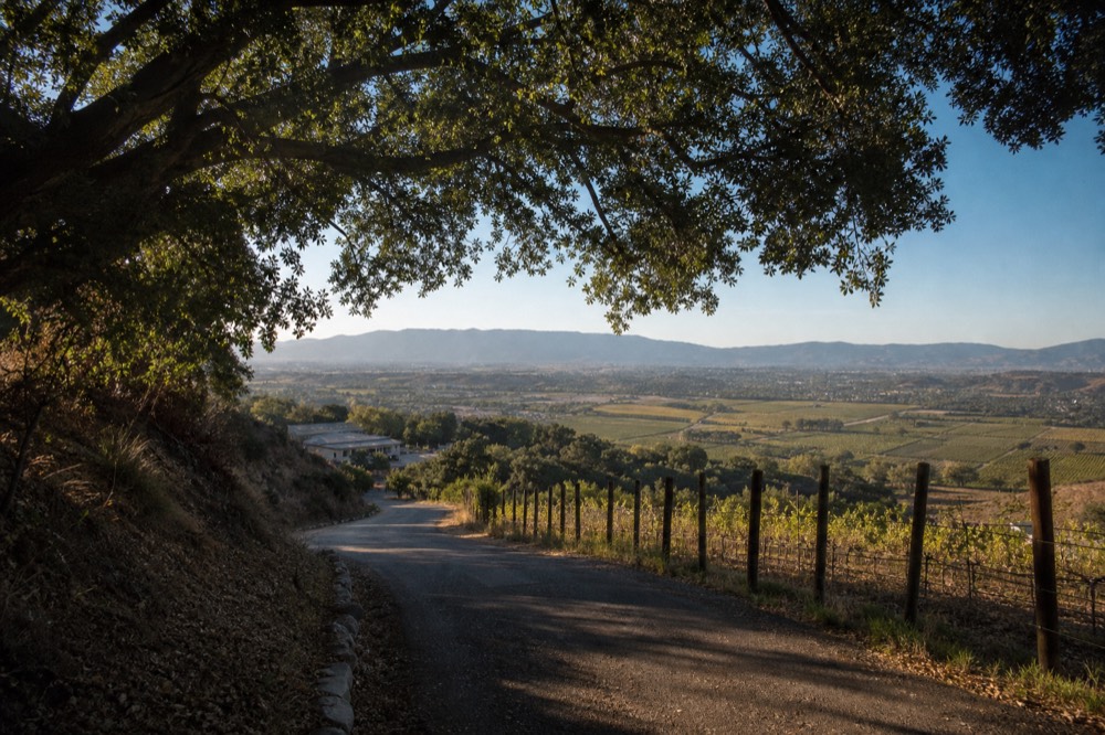 A scenic mountain-pass road descending toward a broad valley patterned with vineyard blocks under a wide sky, no text, no logos, no people
