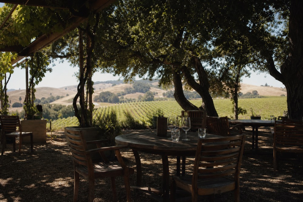 A shaded outdoor tasting terrace with wooden tables under a vine trellis overlooking golden vineyard rows, no text, no logos, no people