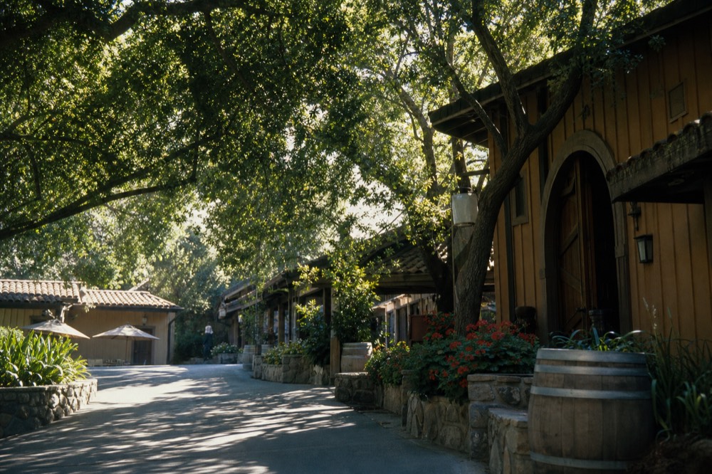 A shaded village street of low wood-front and adobe tasting rooms with leafy trees and flower boxes in warm light, no text, no logos, no people