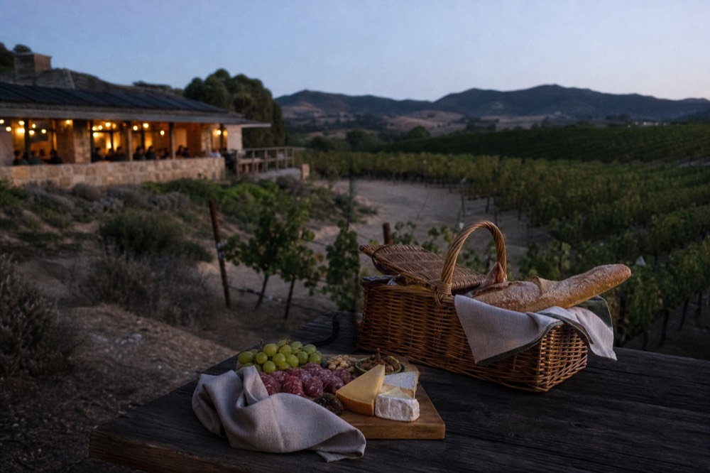 A packed picnic basket with a baguette, wedges of cheese, cured meat and grapes on a wooden table beside vineyard rows, no text, no logos, no people