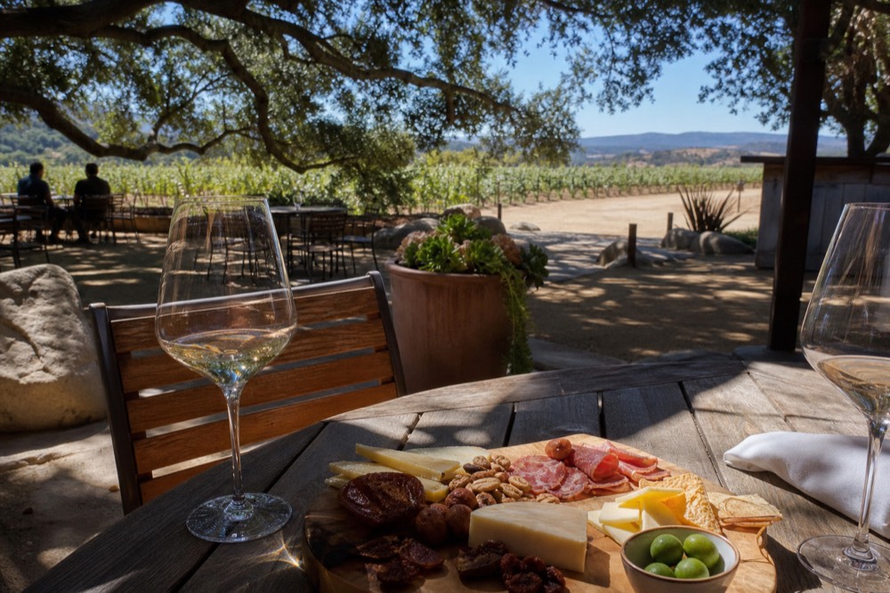 An outdoor tasting patio with shaded tables and a charcuterie board beside potted plants and vine rows in warm light, no text, no logos, no people