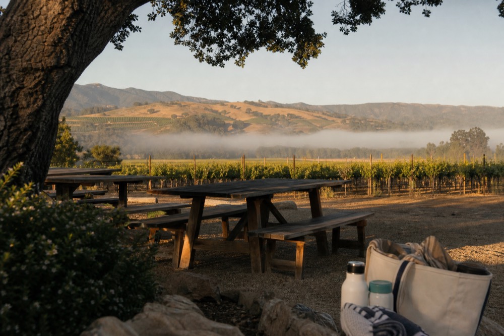 A tidy vineyard picnic area with wooden tables under an oak tree and a reusable tote of supplies, vine rows beyond, no text, no logos, no people