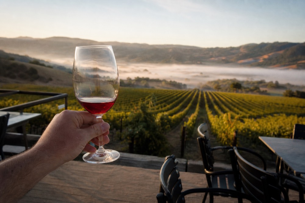 A glass of light red wine held up against rows of vines under a hazy sky at the cool western end of the valley, no text, no logos, no people
