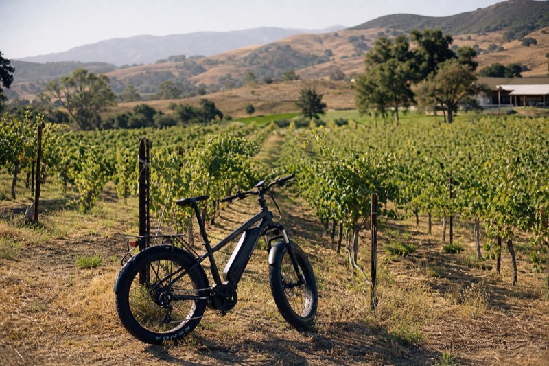 An e-bike parked among Santa Ynez Valley vineyard rows in the morning light, hills and a scattering of oaks beyond