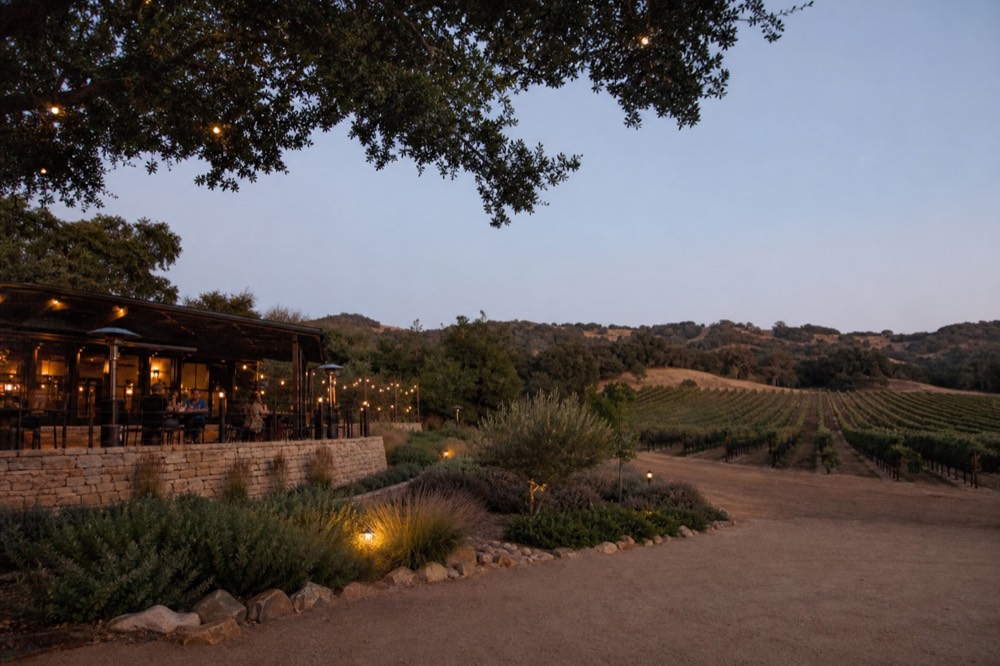 Rows of vines running toward oak-covered hills in the warm inland canyons of Santa Barbara wine country at golden hour, no text, no logos, no people