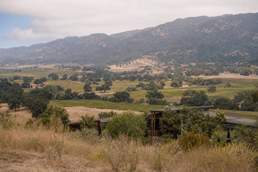 A wide view of the inland Santa Ynez Valley floor patterned with vineyard blocks and oak trees, the coastal range rising behind under afternoon light, no text, no logos, no people