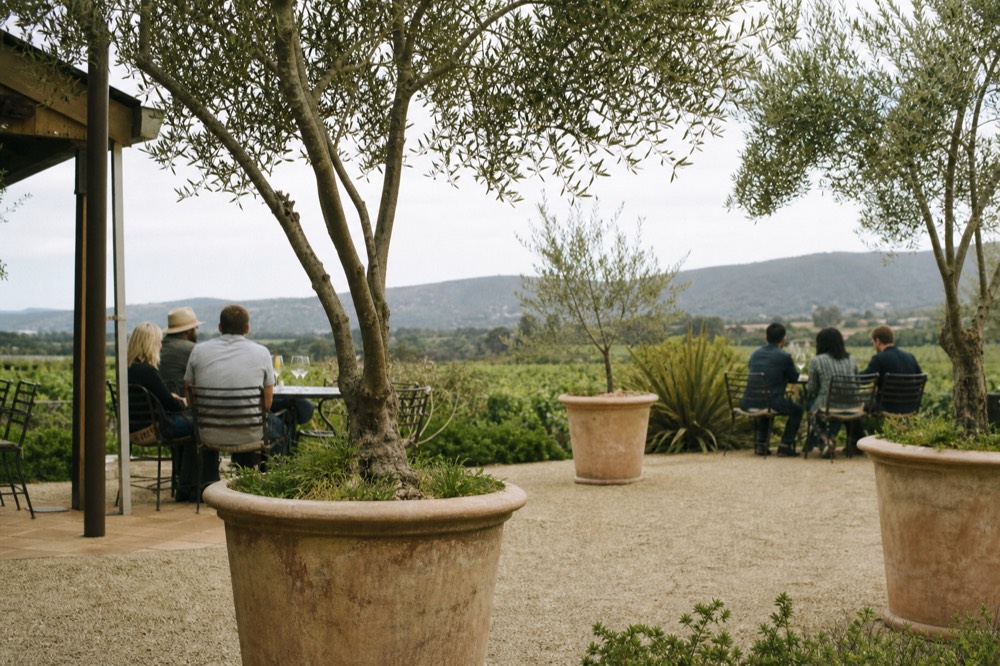 Two small groups at separate tables on a sunny tasting-room patio among potted olive trees, glasses on the tables, no text, no logos, no people