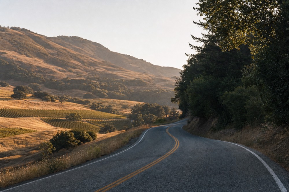 A two-lane road climbing over a wooded mountain pass with golden hills and a glimpse of vineyards in the valley below, no text, no logos, no people