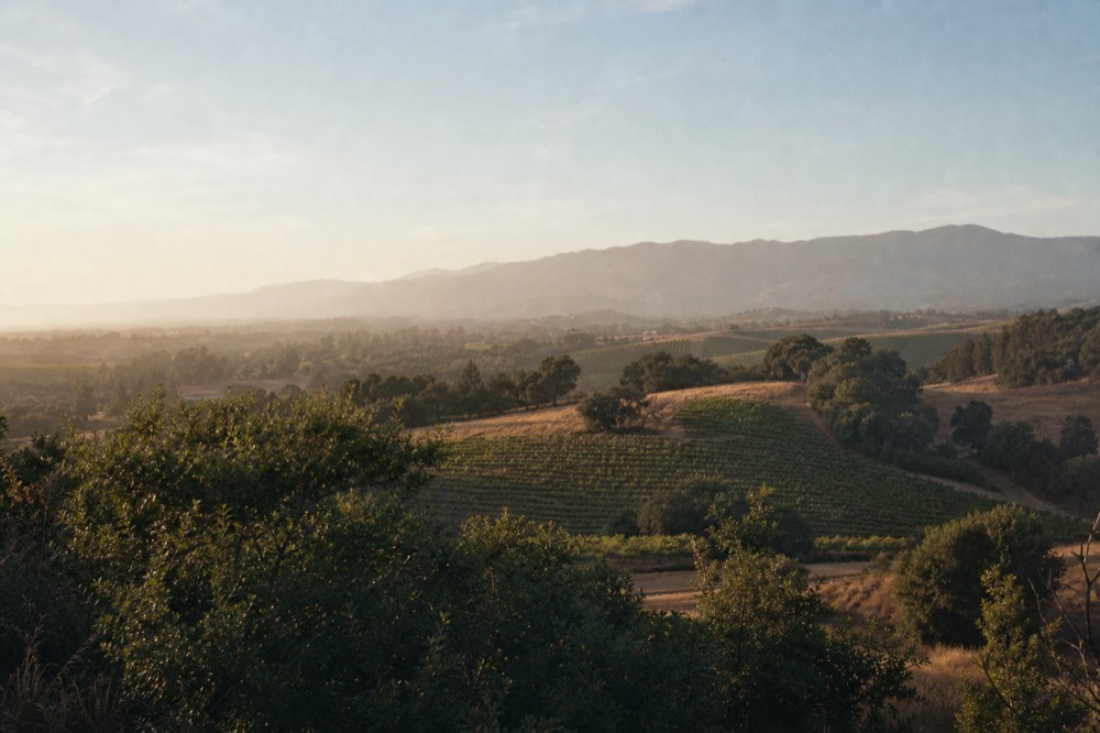 A wide rural county view of scattered vineyard blocks and oak groves running back toward hazy blue coastal mountains, no text, no logos, no people