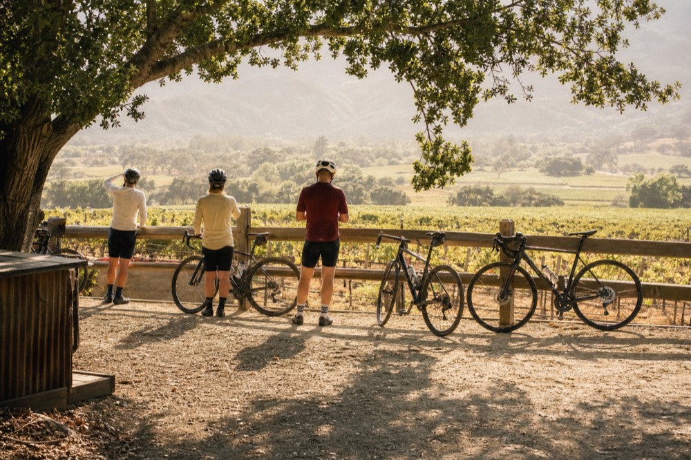 A small group of cyclists pausing beside a vineyard fence line with helmets on, bikes leaning against the rail, warm midday light, no text, no logos, no people