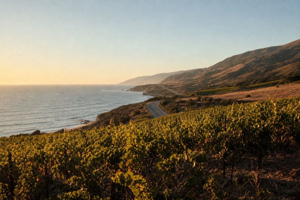 A coastal highway curving between the ocean and golden hills under a bright sky, seen from a high vantage with no vehicles in the frame, no text, no logos, no people