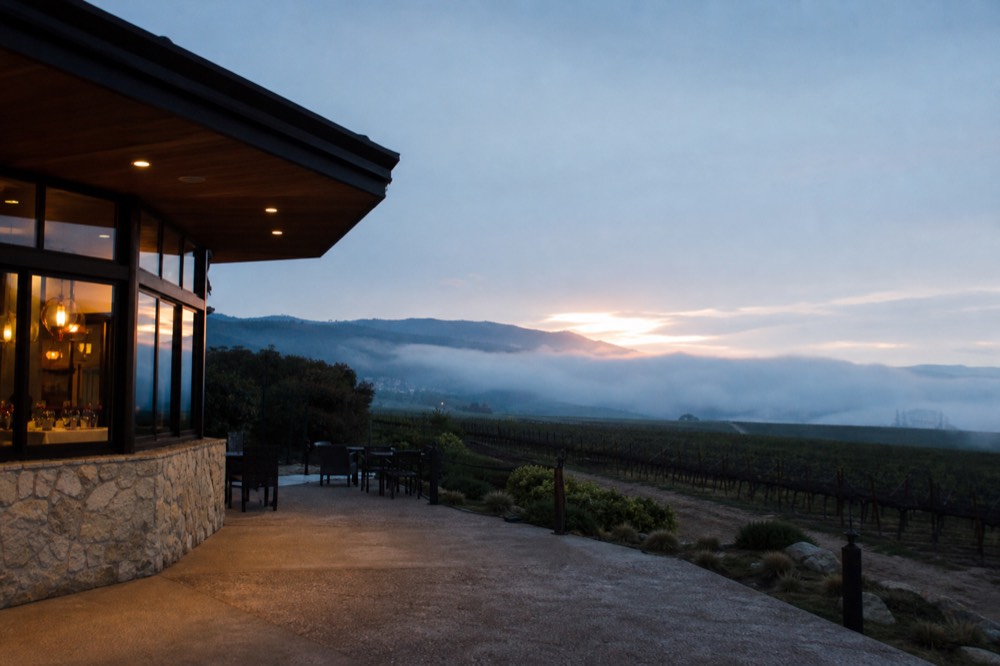 Morning fog spilling over a low ridge into vineyard rows with the sun breaking through above the coastal hills, no text, no logos, no people