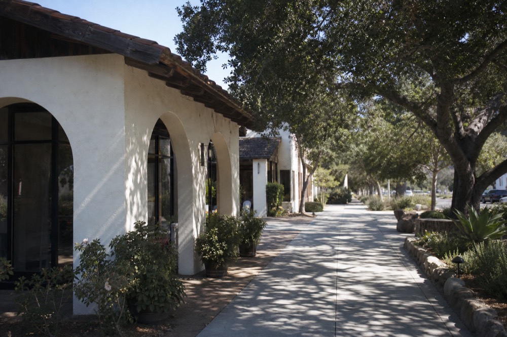 A quiet small-town main street lined with low adobe and clapboard tasting-room storefronts shaded by trees, no text, no logos, no people