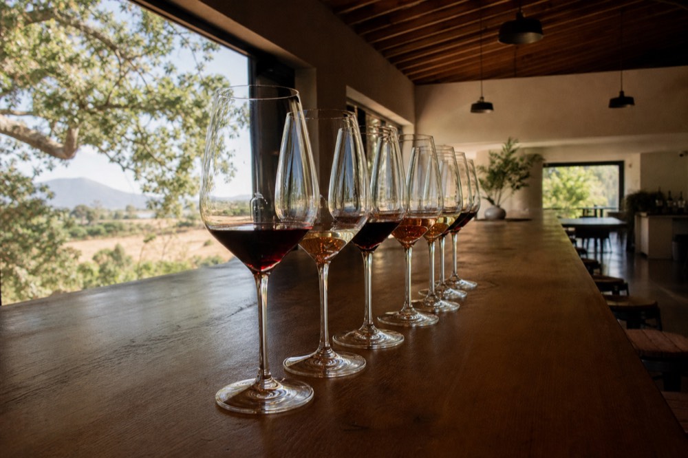 A flight of small wine pours lined along a wooden tasting bar in a bright Santa Barbara room with sunlight through the window, no text, no logos, no people