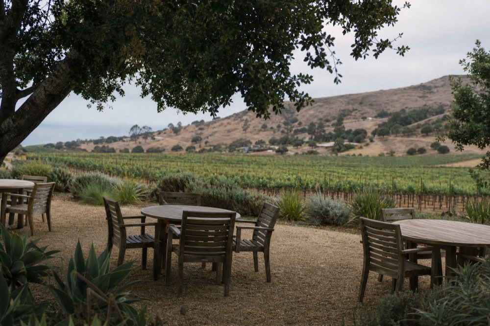 A quiet rural estate tasting patio with empty wooden tables set among vineyard rows under oak trees in the afternoon, no text, no logos, no people