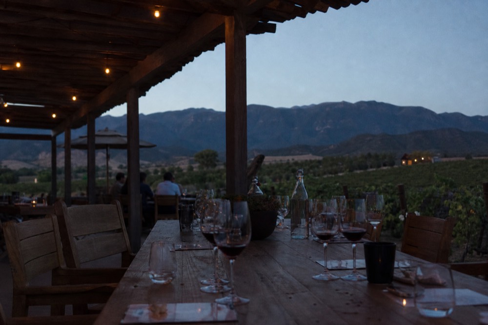 A seated group at a long table on a shaded vineyard terrace with a hosted flight of glasses in front of them, no text, no logos, no people