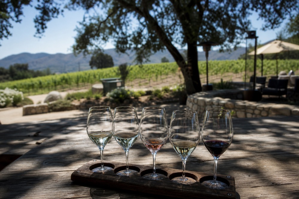 A seated tasting flight of wine glasses on a rustic wooden table on a shaded vineyard patio overlooking the rows, no text, no logos, no people