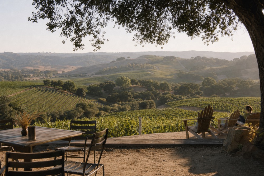 A wide inland valley of vineyard blocks stepping up oak-dotted hills under a warm afternoon sky, no text, no logos, no people